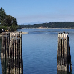 d0169566_2513612.jpg