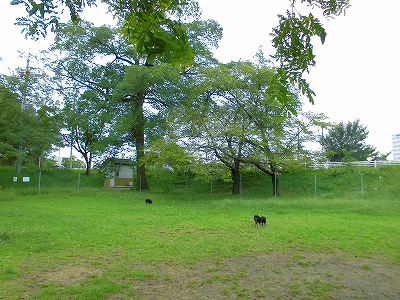 e0002466_17413155.jpg