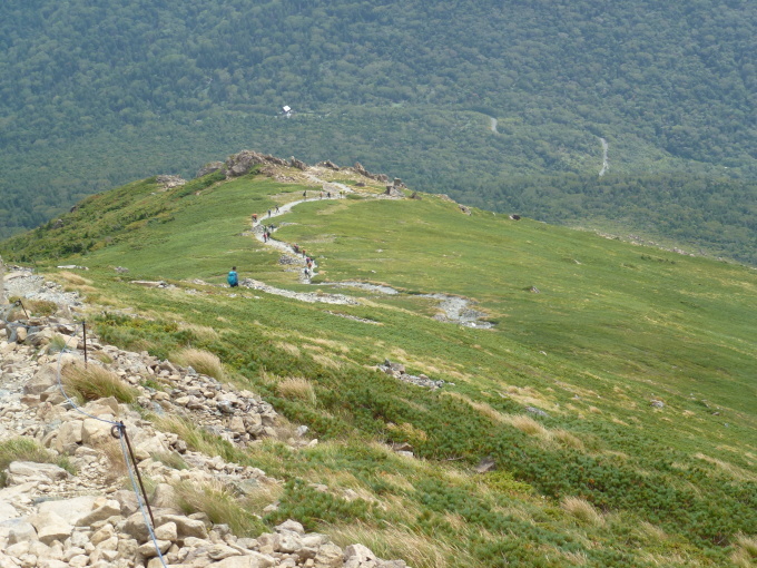 e0160568_20111161.jpg