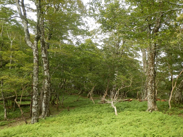 f0057070_20143460.jpg
