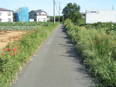 c0112172_183016.jpg