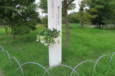 e0292172_1732135.jpg