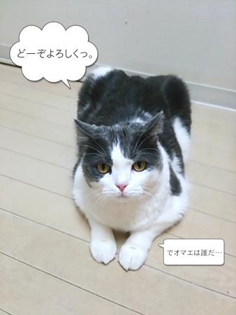 f0000673_2532247.png