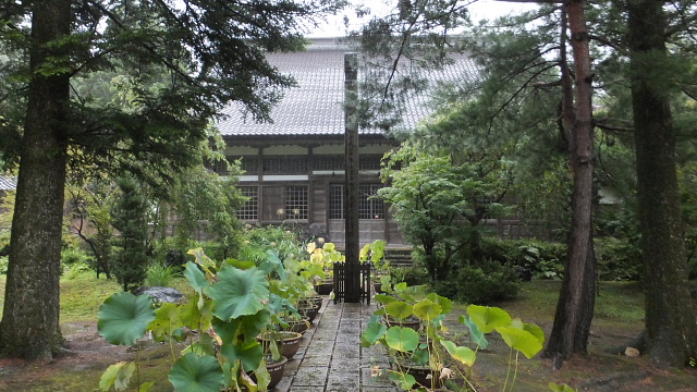 c0022275_17521652.jpg