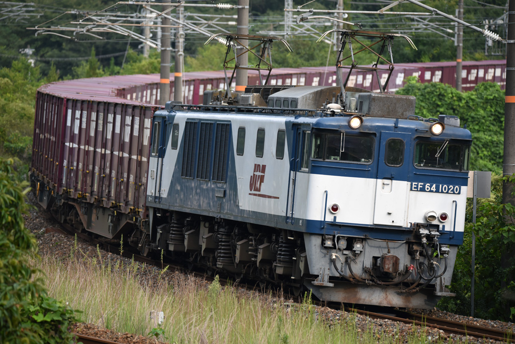 f0014380_2573926.jpg