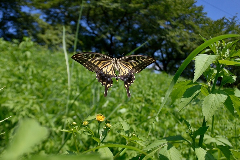 f0031682_10171352.jpg