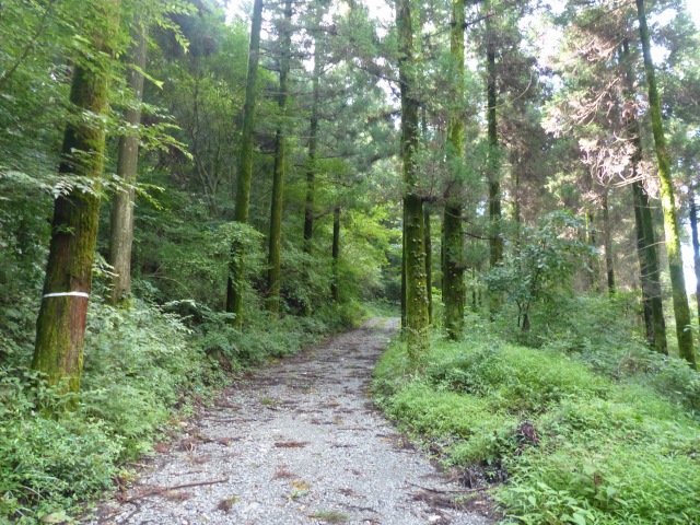 f0357487_6505534.jpg