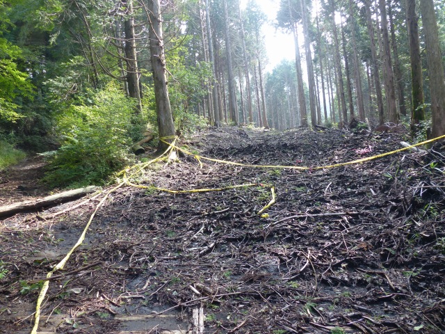 f0357487_6511011.jpg