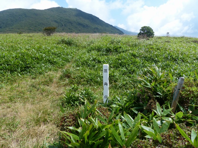 f0357487_6592392.jpg