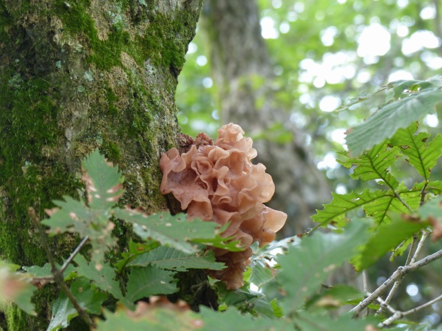 f0357487_8481847.jpg