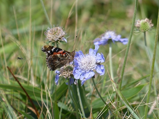 f0357487_925460.jpg