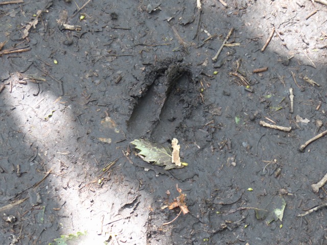 f0357487_952222.jpg