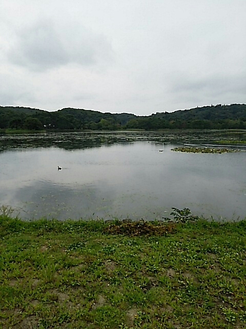 b0163088_13582055.jpg