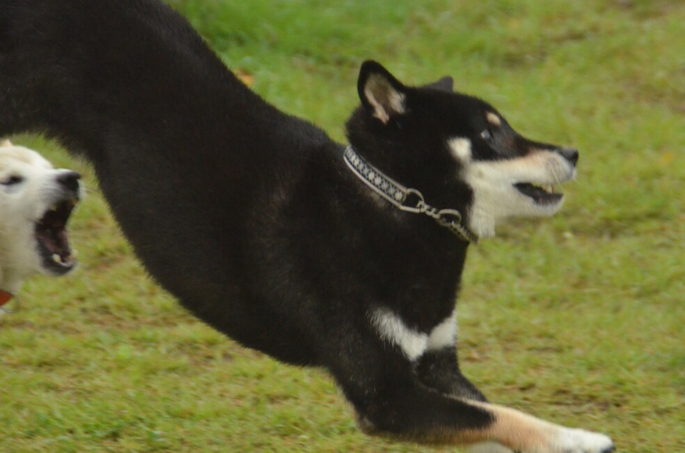 c0123890_1559464.jpg
