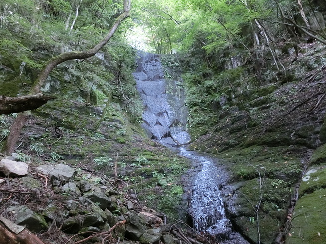 d0151699_2372687.jpg