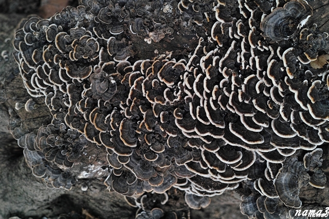 f0224100_22371764.jpg