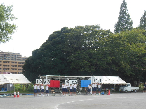 f0208812_1034932.jpg