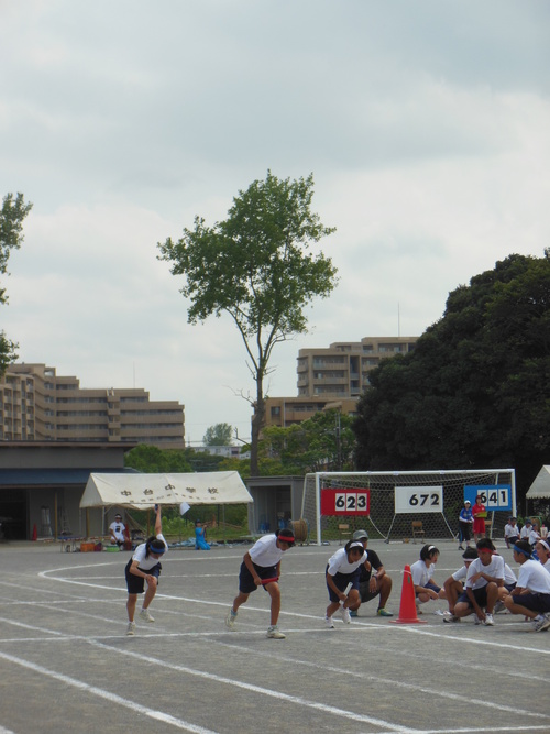 f0208812_10594266.jpg