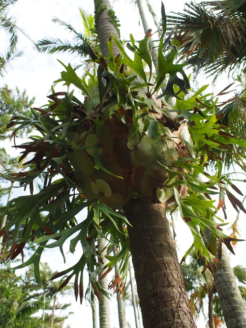 c0156313_12262322.jpg