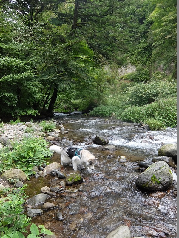 b0207615_17312016.jpg