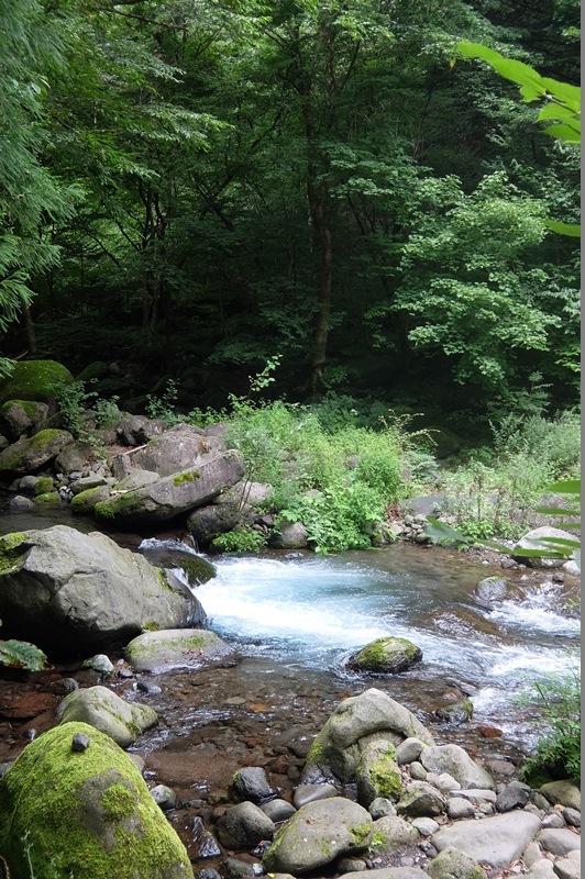 b0207615_17313282.jpg