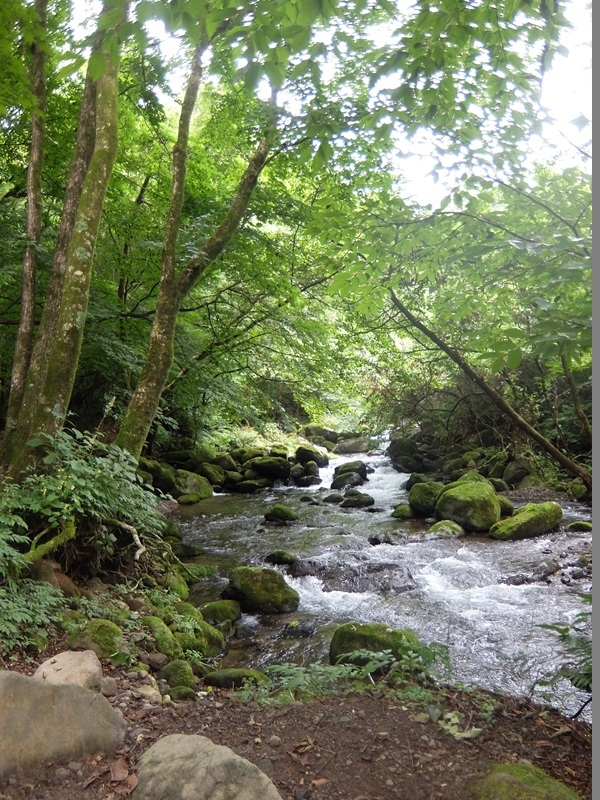 b0207615_17313424.jpg