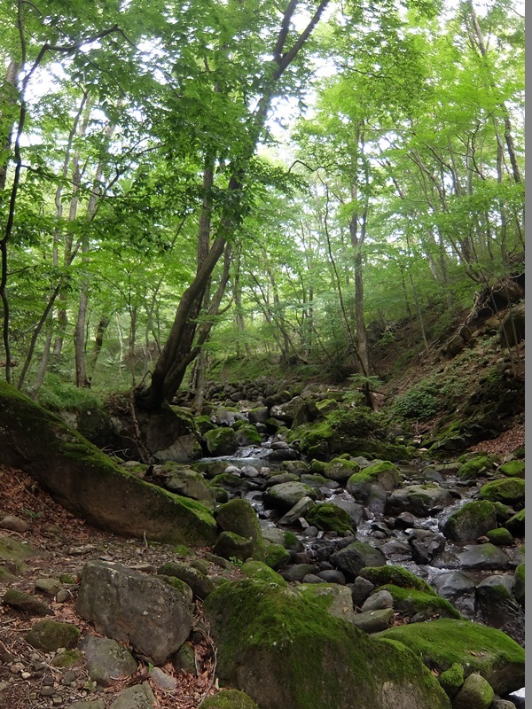 b0207615_17320769.jpg