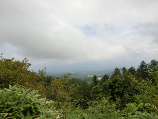 d0221319_013344.jpg