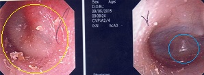 a0082724_2112046.jpg