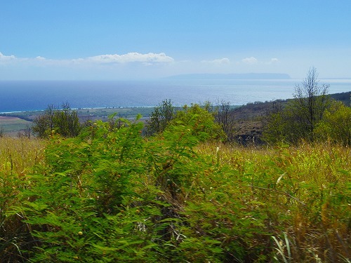 b0312126_18115425.jpg
