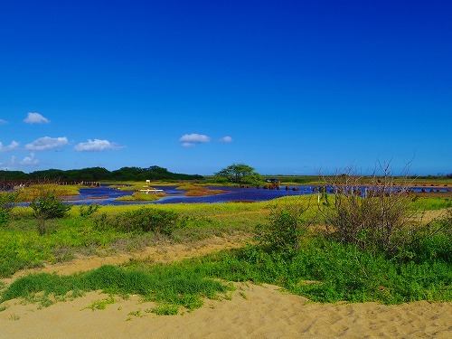 b0312126_18182012.jpg