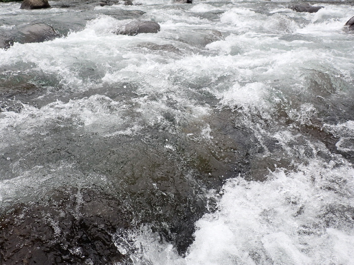f0103126_1953269.jpg