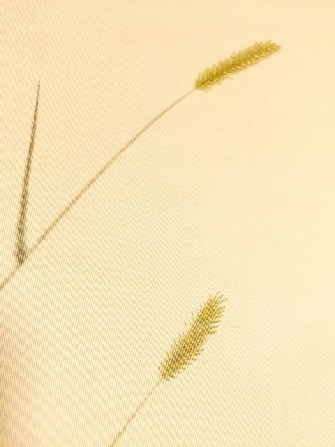 f0229926_11204390.jpg