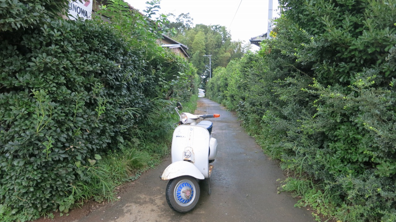 f0225627_20133093.jpg