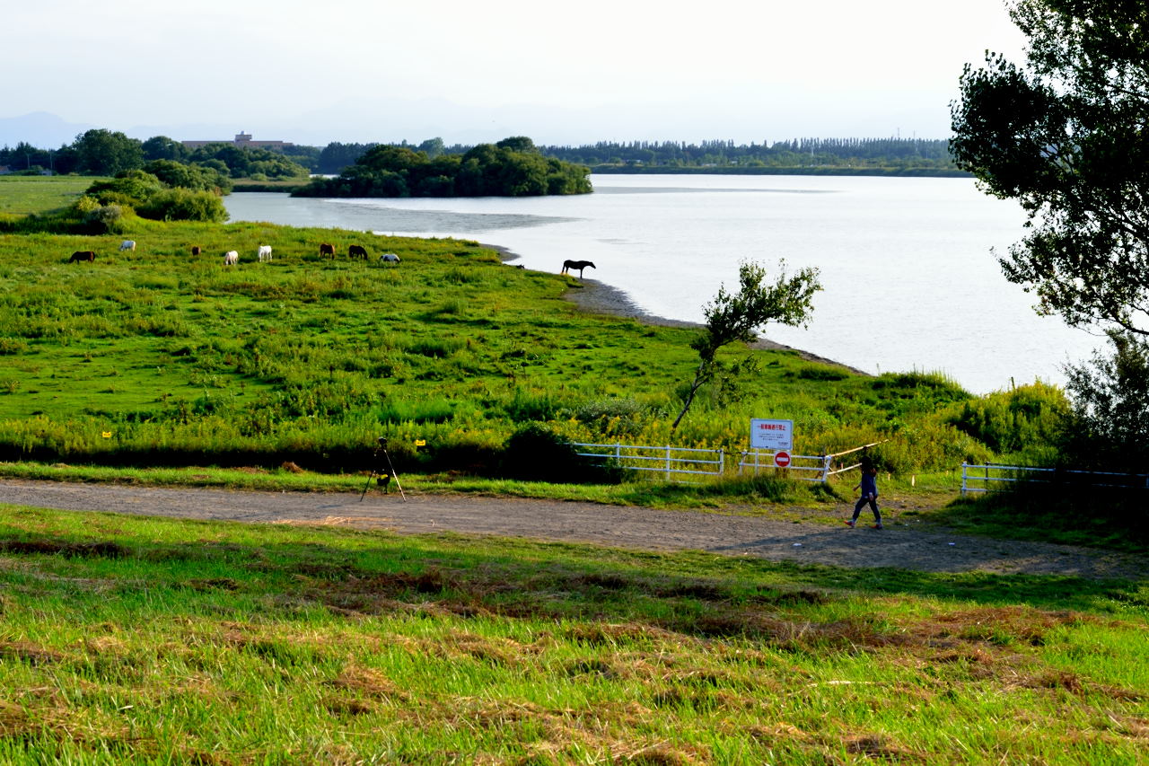 f0229527_17513260.jpg