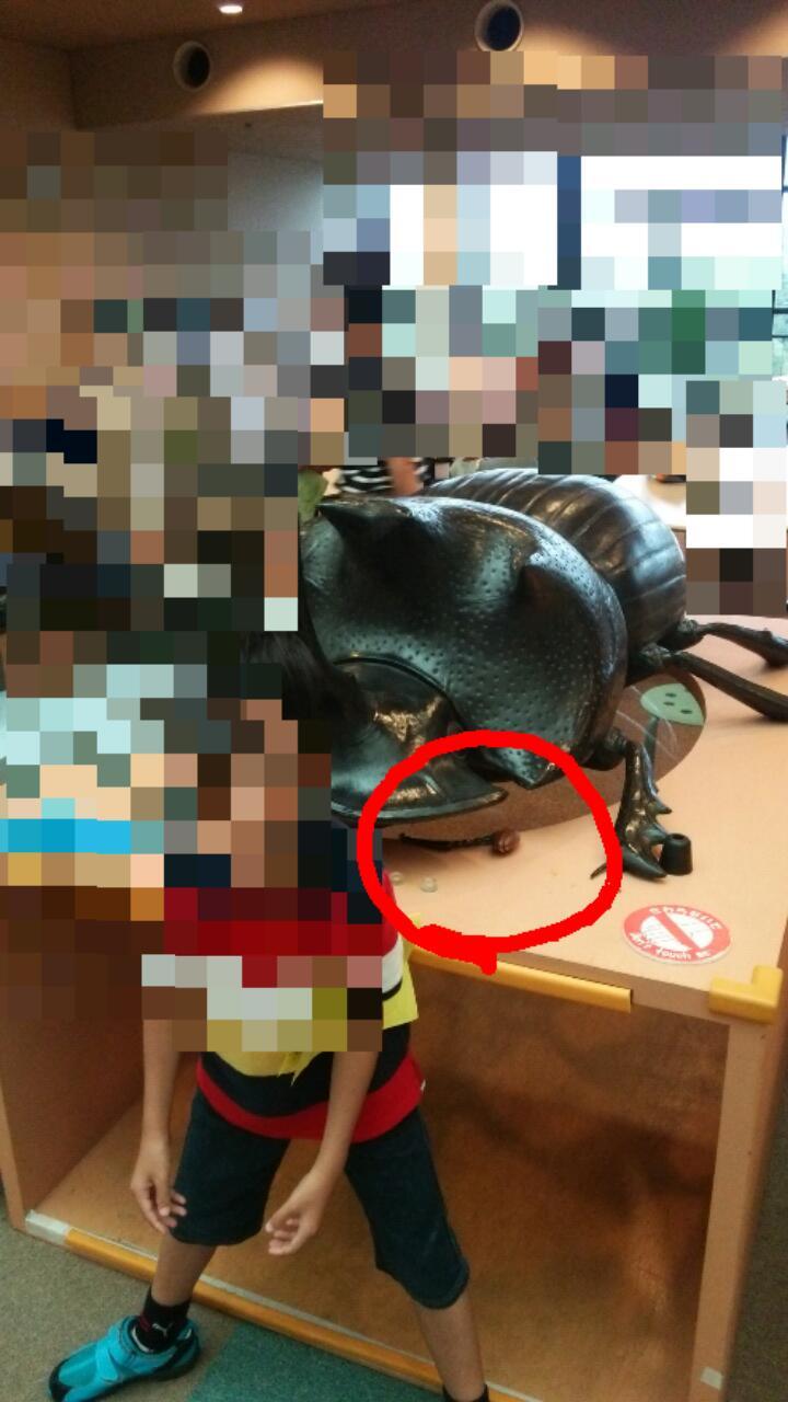 c0337631_02152786.jpg