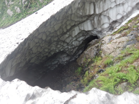 f0118332_15435783.jpg