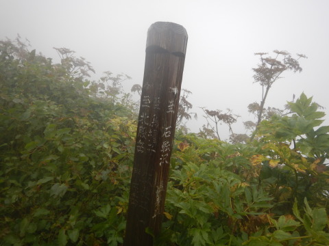 f0118332_15483301.jpg