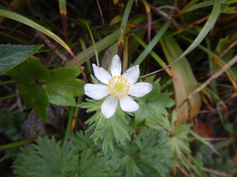 f0118332_16004077.jpg