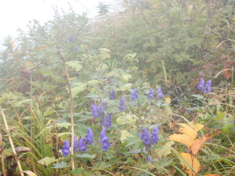 f0118332_16015273.jpg