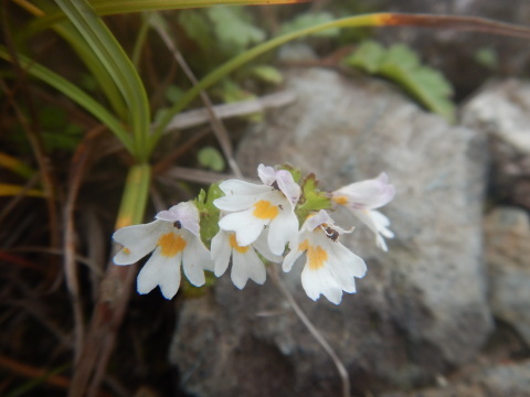 f0118332_16022075.jpg