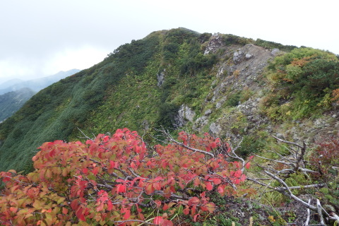 f0118332_16033440.jpg