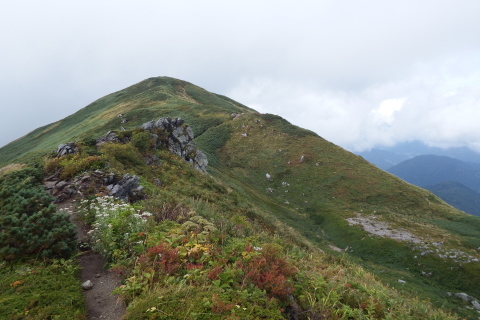f0118332_16041226.jpg