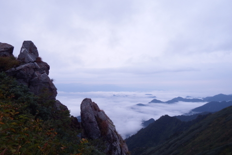 f0118332_16270705.jpg