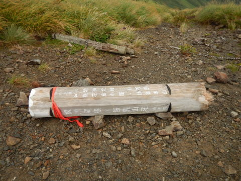 f0118332_16464384.jpg