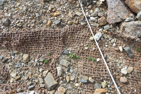 f0118332_16505661.jpg