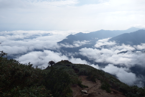 f0118332_16531854.jpg