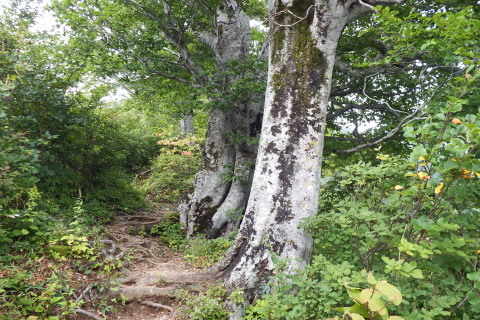 f0118332_16575328.jpg