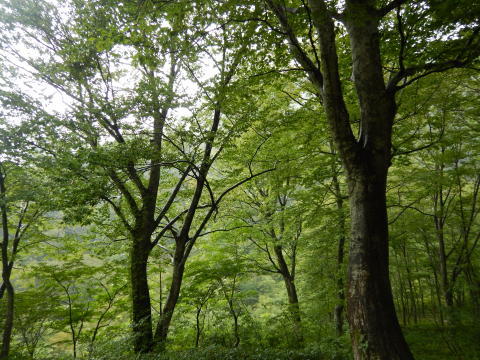 f0118332_17071462.jpg