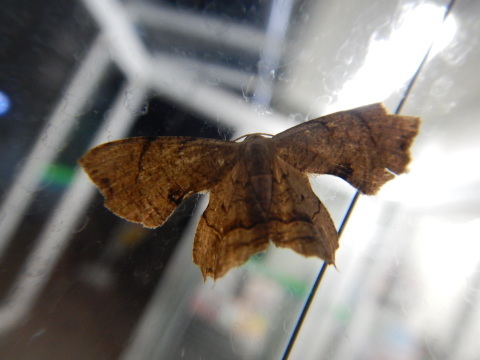 f0118332_23420782.jpg